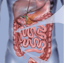 1-16010Q512331U 1-16010Q512331U