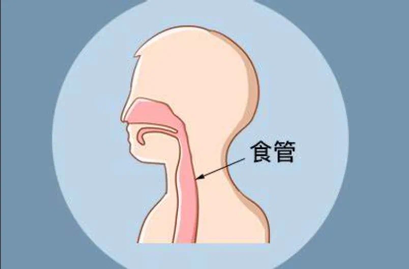 pnsAAADuS0wSbRsY-ec3330cb-b919-486b-b091-2b683a8b7fb2_w804_h529_ pnsAAADuS0wSbRsY-ec3330cb-b919-486b-b091-2b683a8b7fb2_w804_h529_